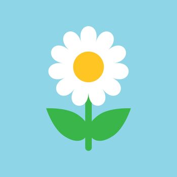 Chamomile flower vector icon in flat style. Daisy illustration on blue isolated background. Camomile sign concept.