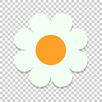 Chamomile flower vector icon in flat style. Daisy illustration on isolated transparent background. Camomile sign concept.