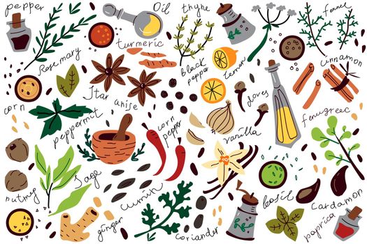 Spices doodle set