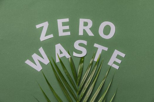 Zero waste concept. Green palm leaf and paper letters on green background