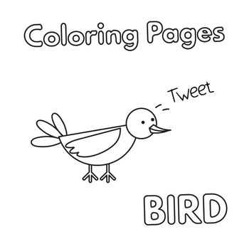 Cartoon Bird Coloring Book