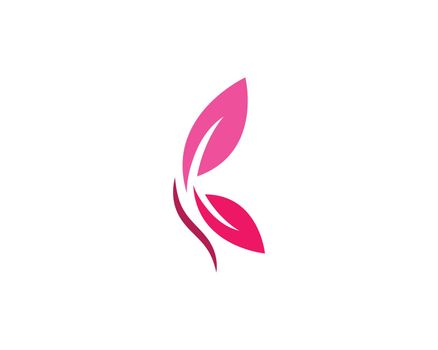 Butterfly Logo Template 