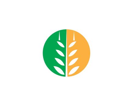 Agriculture Wheat Logo