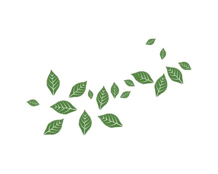 Mint leaf Background