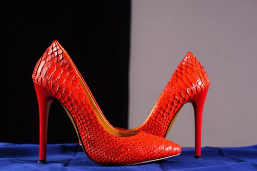red shoes of snakeskin 