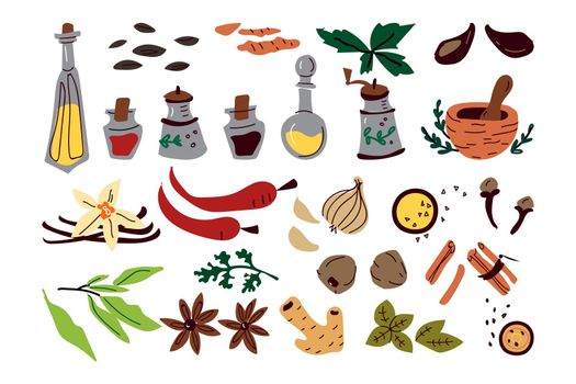 Aromatic spices doodle print set