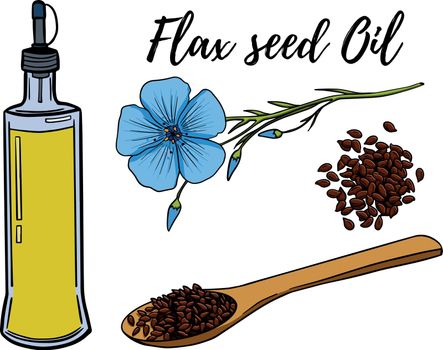 Oil set. Hand drawn vector illustration. Flax seed oil. Use for cosmetic products or food. Sketch style vector organic food illustration.
