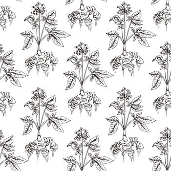 Hand drawn vector seamless pattern of spices and herbs. Medicinal, cosmetic, culinary plants. Seeds, branches, flowers and leaves. Different types of condiment.