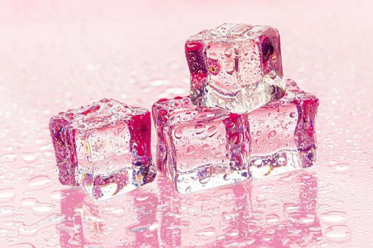 Fozen ice cubes on wet pink background