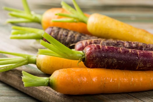 Fresh raw colorful carrots roots