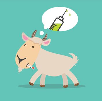Sick goat Swine Flu a vaccination