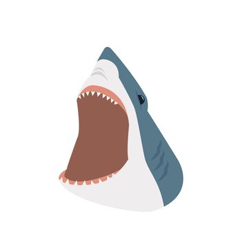 shark with open mouth vector