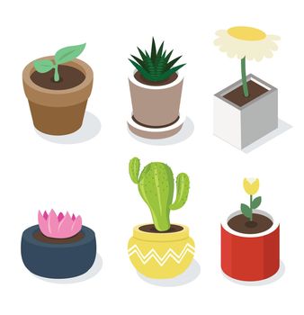 Isometric plant in pot  style set