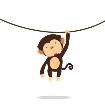 Funny little monkey climbing the vine