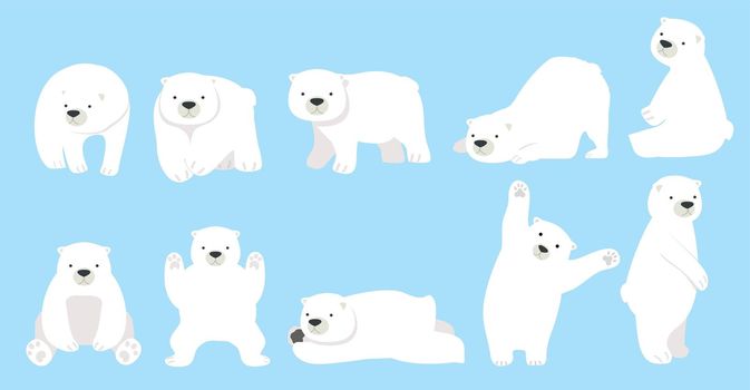 Cute Polar bear funny character cartoon set