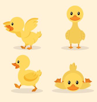 Cute yellow duck collection set