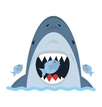 Big White Shark eat small fish 