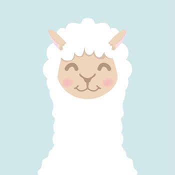 Cute alpaca  fluffy head face