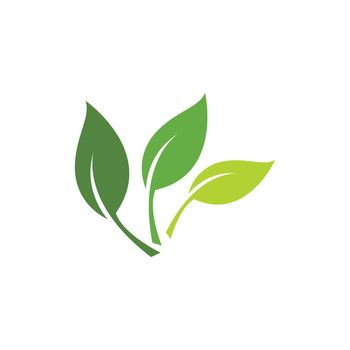 Green leaf logo ecology
