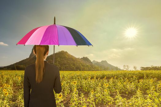 business woman holding multicolored umbrella in sunflower field and sun