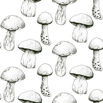 Mushroom hand drawn vector seamlees pattern. Isolated Sketch organic food drawing background.