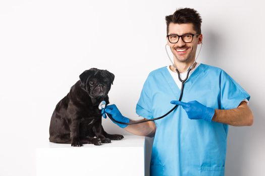 Handsome veterinarian at vet clinic examining cute black pug dog, pointing finger at pet during check-up with stethoscope, white background