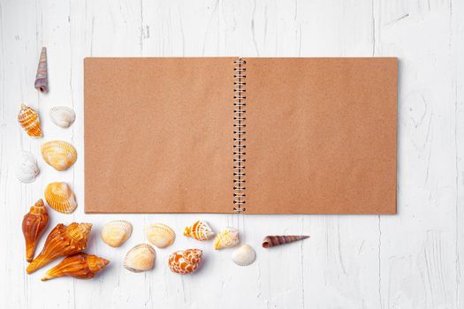 Open notepad with sea shells on white wooden background