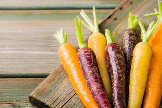 Fresh raw colorful carrots roots