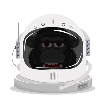chimpanzee in an Astronaut space helmet 