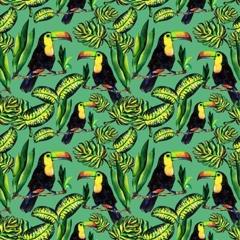 Seamless pattern of leaves monstera and Toucan