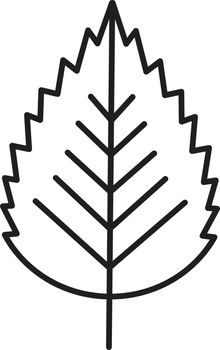 Birch leaf linear icon