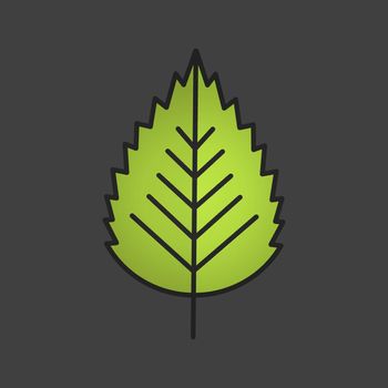 Birch leaf color icon
