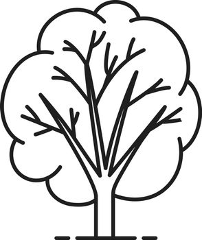 Tree linear icon