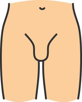 Male groin color icon
