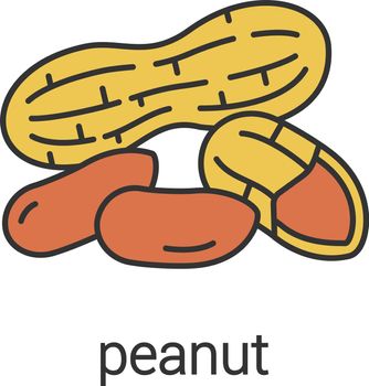 Peanut color icon