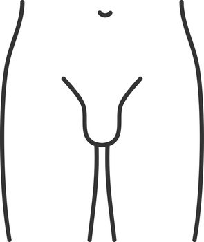 Male groin linear icon