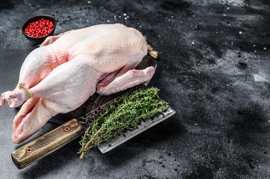 Raw whole goose, poultry meat. Black background. Top view. Space for text