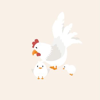 white Hen with chick animal vector