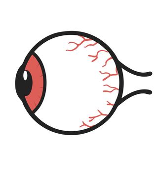 Human red eyeball Anatomy  vector 