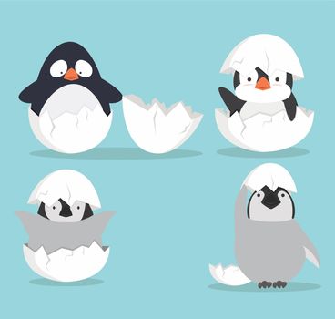 Cute Baby penguins hatched in egg vector