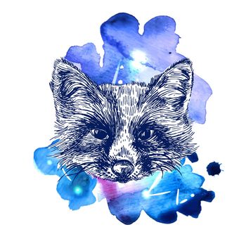 animal on watercolor space