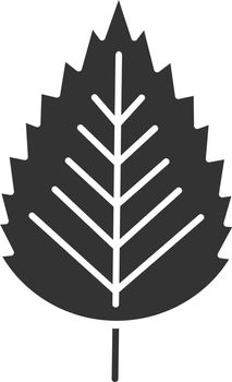 Birch leaf glyph icon