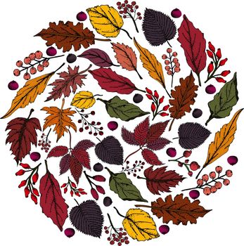 Hand drawn vector illustration. Autumn Wreath and frames. Fall leaves. Perfect for wedding invitations, greeting cards, blogs, prints and more