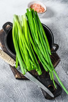 Raw Green onions chives. White background. Top view