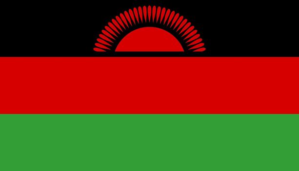 Malawi flag icon in flat style. National sign vector illustration. Politic business concept.