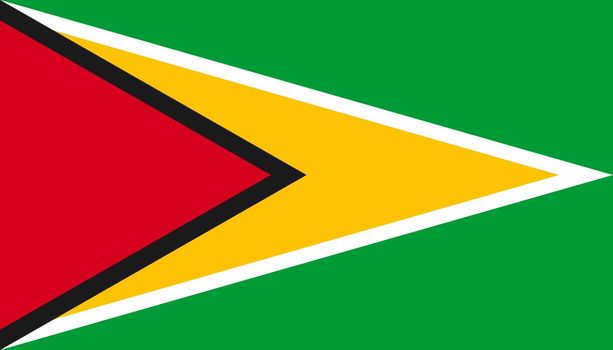 Guyana flag icon in flat style. National sign vector illustration. Politic business concept.