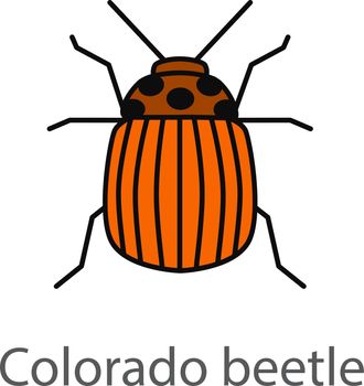 Colorado beetle color icon