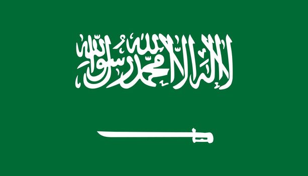 Saudi Arabia flag icon in flat style. National sign vector illustration. Politic business concept.