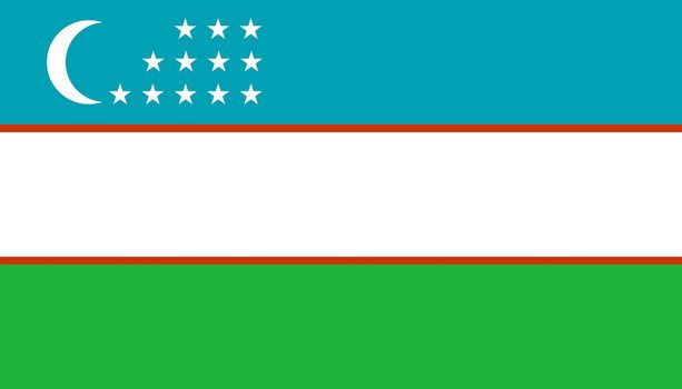Uzbekistan flag icon in flat style. National sign vector illustration. Politic business concept.