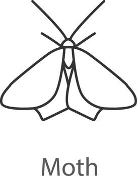 Moth linear icon